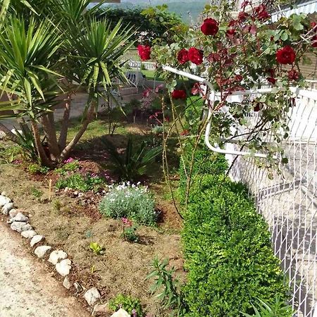 Guesthouse Djurisic Herceg Novi Esterno foto