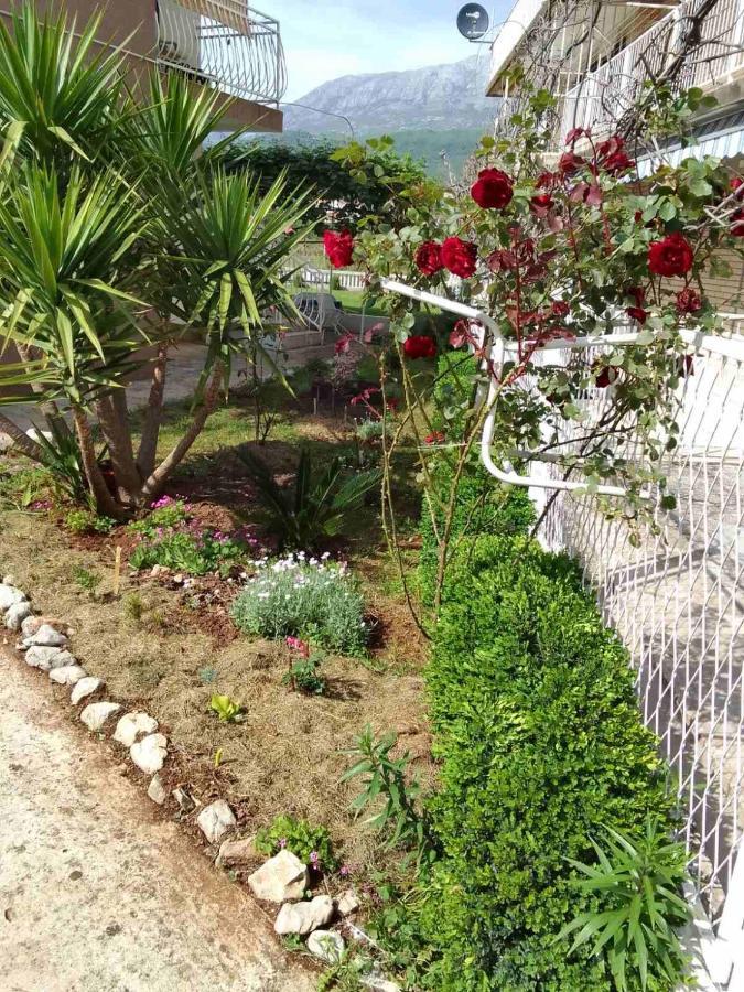 Guesthouse Djurisic Herceg Novi Esterno foto
